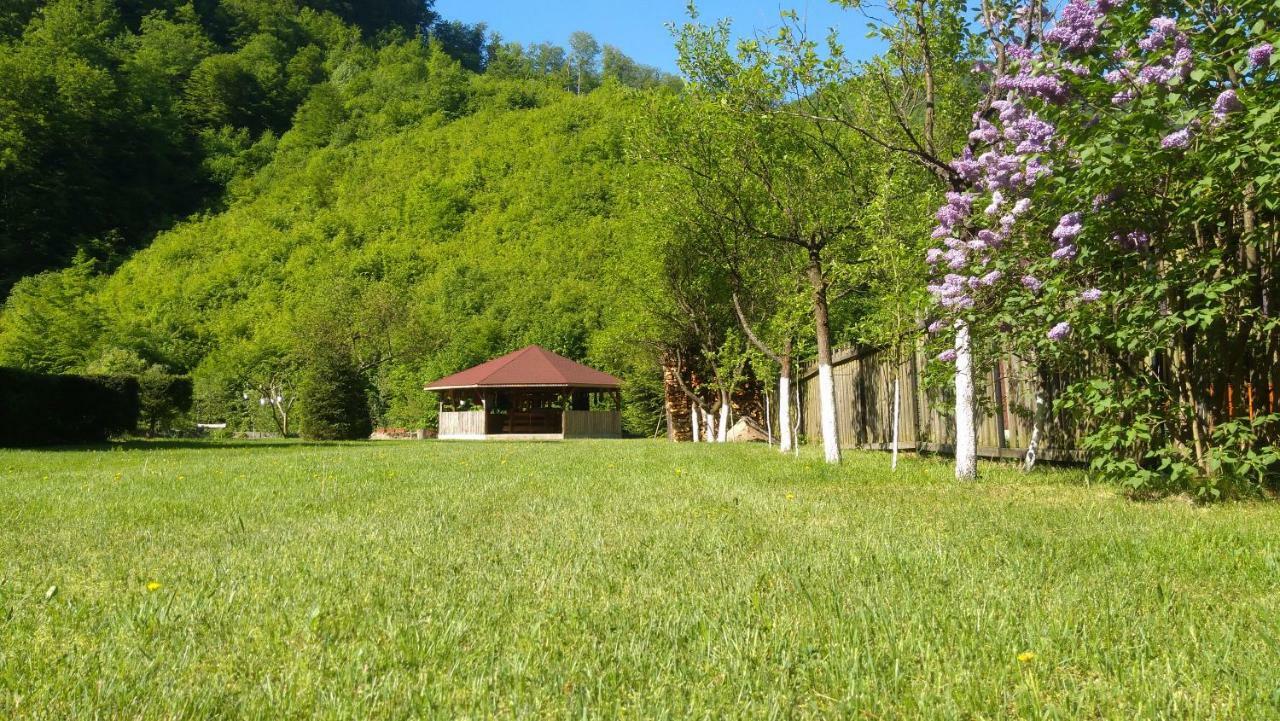 Pensiunea Poarta Raiului Cugir エクステリア 写真
