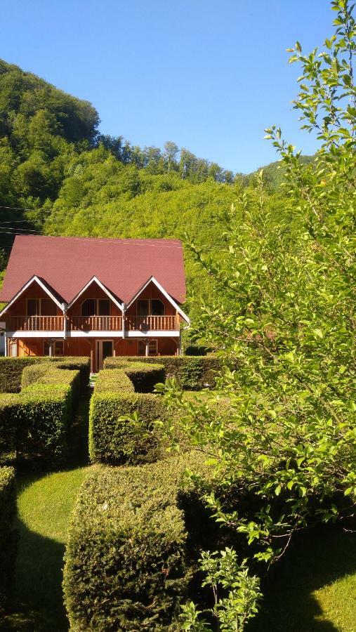 Pensiunea Poarta Raiului Cugir エクステリア 写真